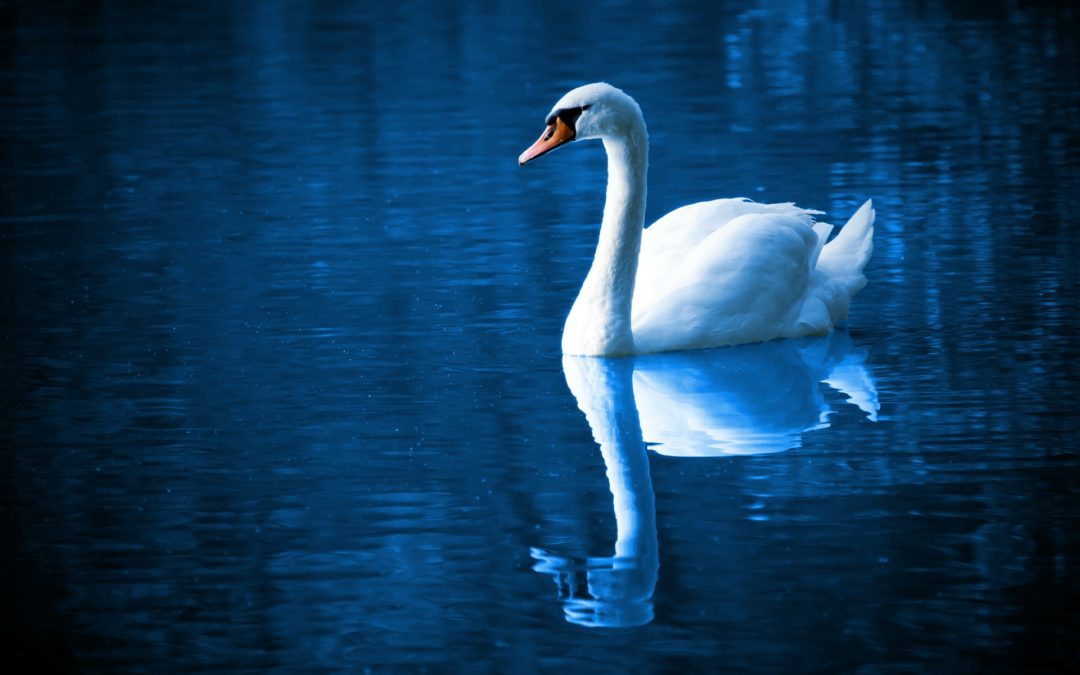 Spiegeltje spiegeltje aan de wand…