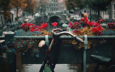 Verboden fietsen te parkeren